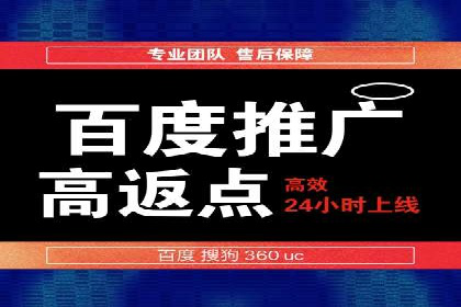 百度SEO推广策略案例：一家公司的成功转型之路